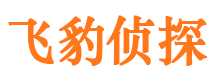 察雅侦探公司